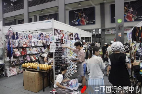 會展服務(wù)全解析 聚焦展覽服務(wù)的核心類型